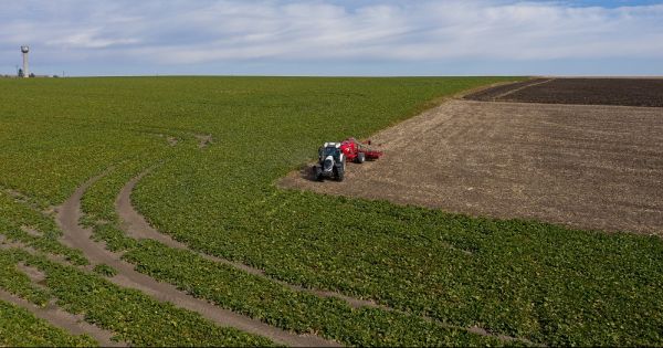 Crop production in Ukraine
