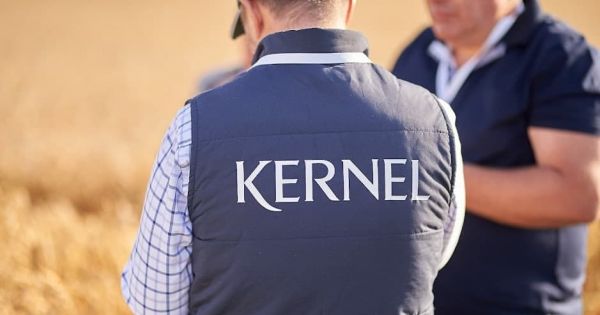 Kernel staff in a field