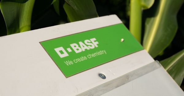 Компанія BASF 