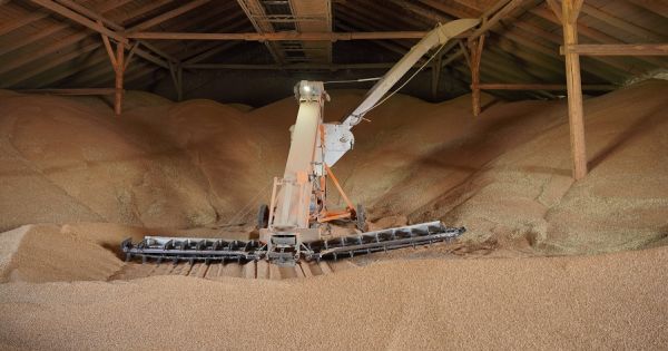 Перевалка зерна, тарифи на перевезення зерна 