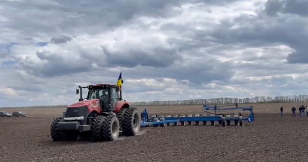 Spring crops sowing in Ukraine