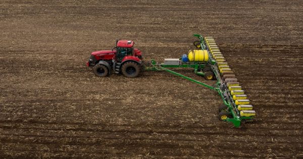 Spring grains and oilseeds sowing in Ukraine