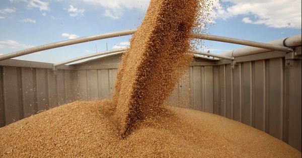 Зерно, відвантаження зерна, перевезення зерна 