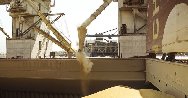 Grain shipment in Odesa export terminal of the SFGCU