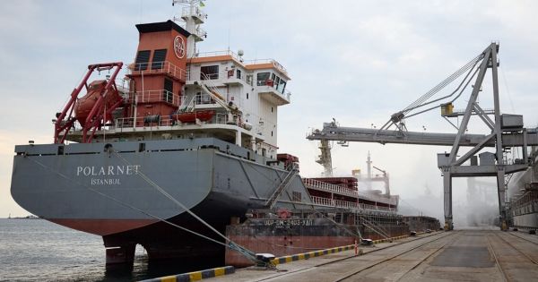 Турецьке судно Polarnet завантажується зерном в Чорноморськом порту