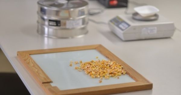 Лабораторія визначення якості зерна 