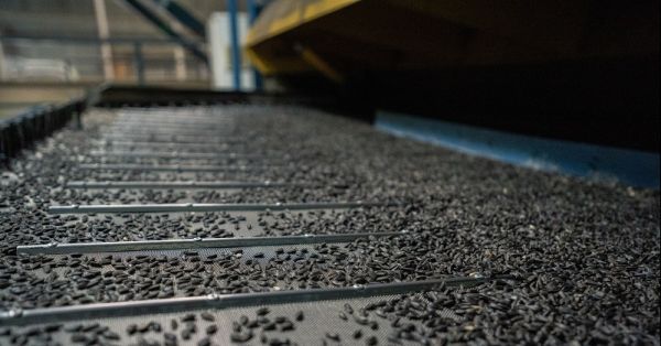 Виробництво насіння соняшнику на заводі «Агрокомплекс-2012»