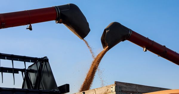 Soybean reloading from harvester onto a truck