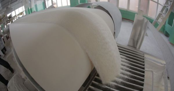 Переробка цукрових буряків, виробництво цукру
