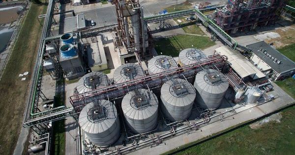 В Україні побудують завод з переробки пшениці на паливний етанол