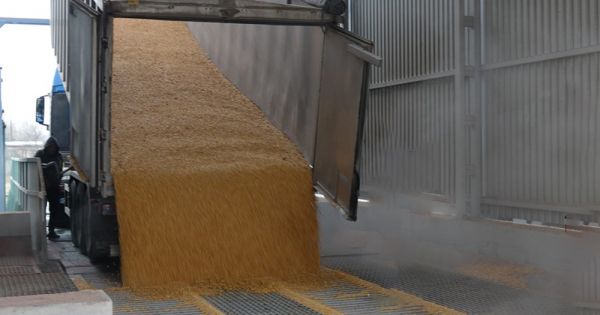 Приймання зерна на елеваторі