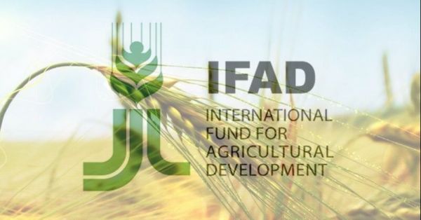Міжнародний фонд сільськогосподарського розвитку IFAD