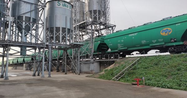 Завантаження зерна у вагони на елеваторі