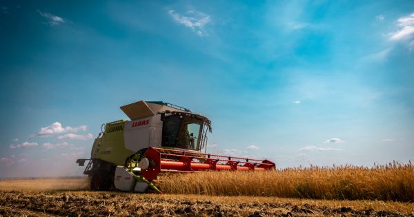 A Claas harvester cuts wheat in a field in Ukraine