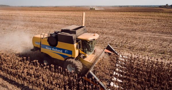 New Holland combine harvests sunflower in Ukraine