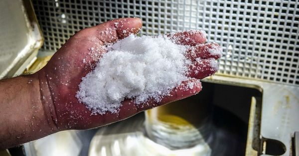 Виробництво бурякового цукру