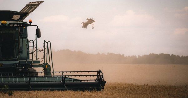 Жнива на Дніпропетровщині