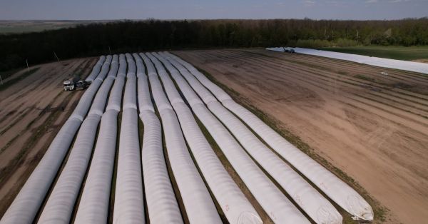 Зерно на елеваторі «Агродар-Бар» у полімерних рукавах, квітень 2025 року