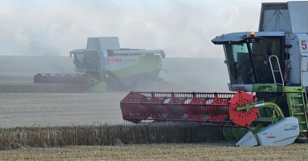 Збір врожаю ранніх культур на полях Agroprosperis на Сумщині