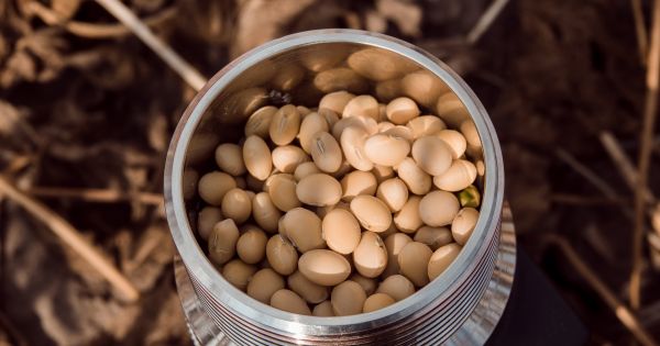 Soybeans