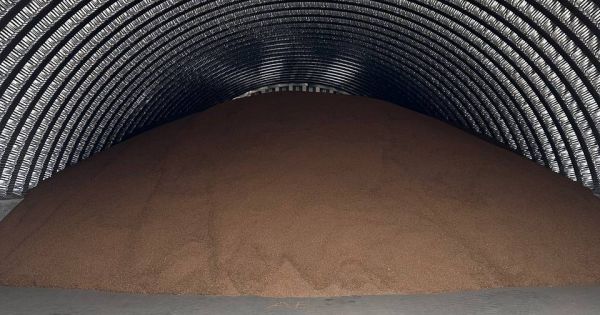 Зерно на складі