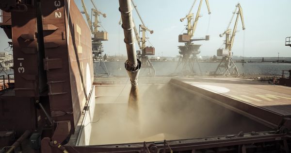 Судно з зерном