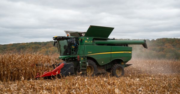 Збирання кукурудзи