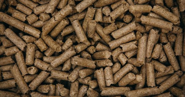 Соєвий шрот