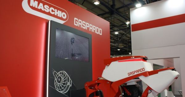 MASCHIO GASPARDO 