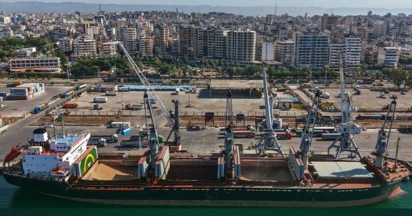 Розвантаження українського зерна в Латакії