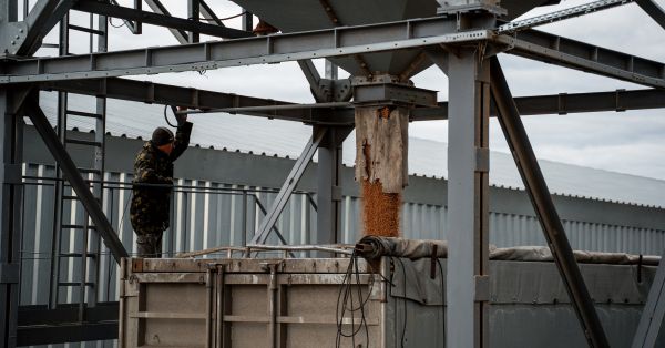 Кукурудза на елеваторі