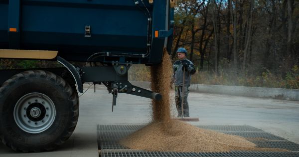 Висипання зерна