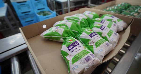 Курятина МХП