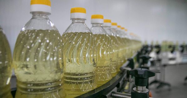 Соняшникова олія