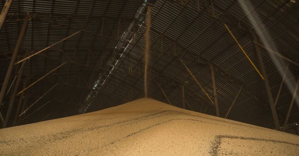 Soybean floor storage in Ukraine
