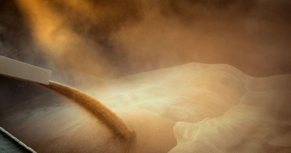 Зерно в трюмі