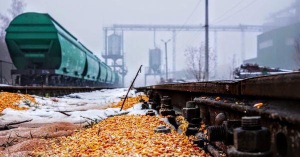 Вагон і кукурудза