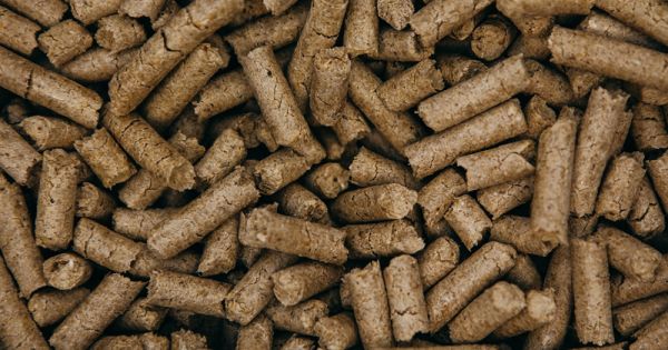 Soybean meat at Astarta-Kyiv's crushing plant in Poltava region