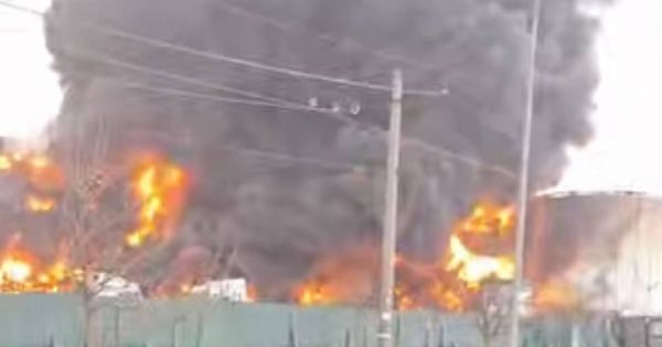 Термінал Alseeds