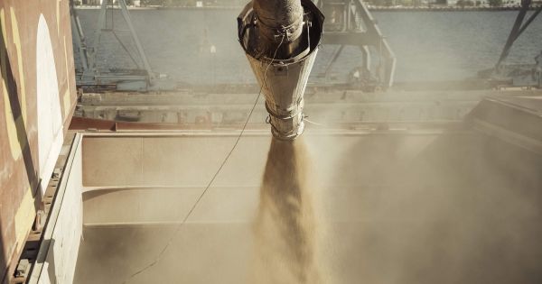 Завантаження зерна на судно