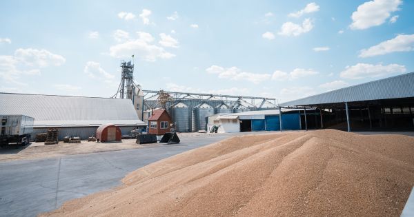 Пшениця на елеваторі