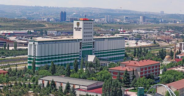 Елеватор TMO