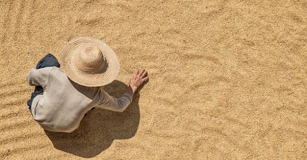 Китайський фермер