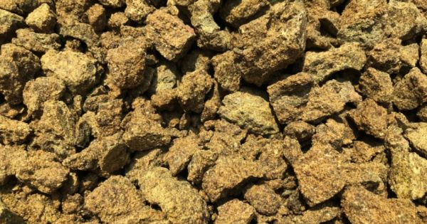 Ріпаковий шрот