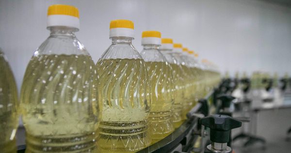 Соняшникова олія