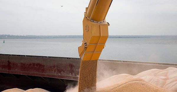 Навантаження зерна на судно