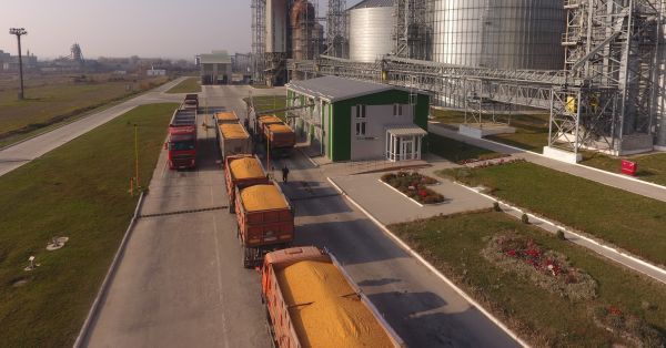 Кукурудза у вантажівках