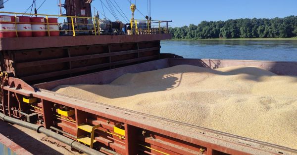 Судно з пшеницею АГРОТРЕЙДу