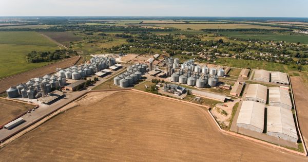 Земля і Воля