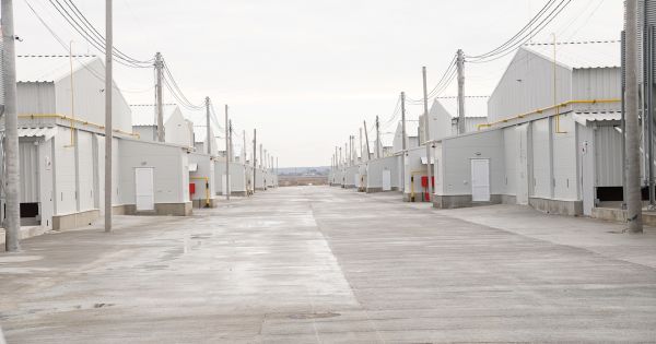 Нові пташники Avesterra Group